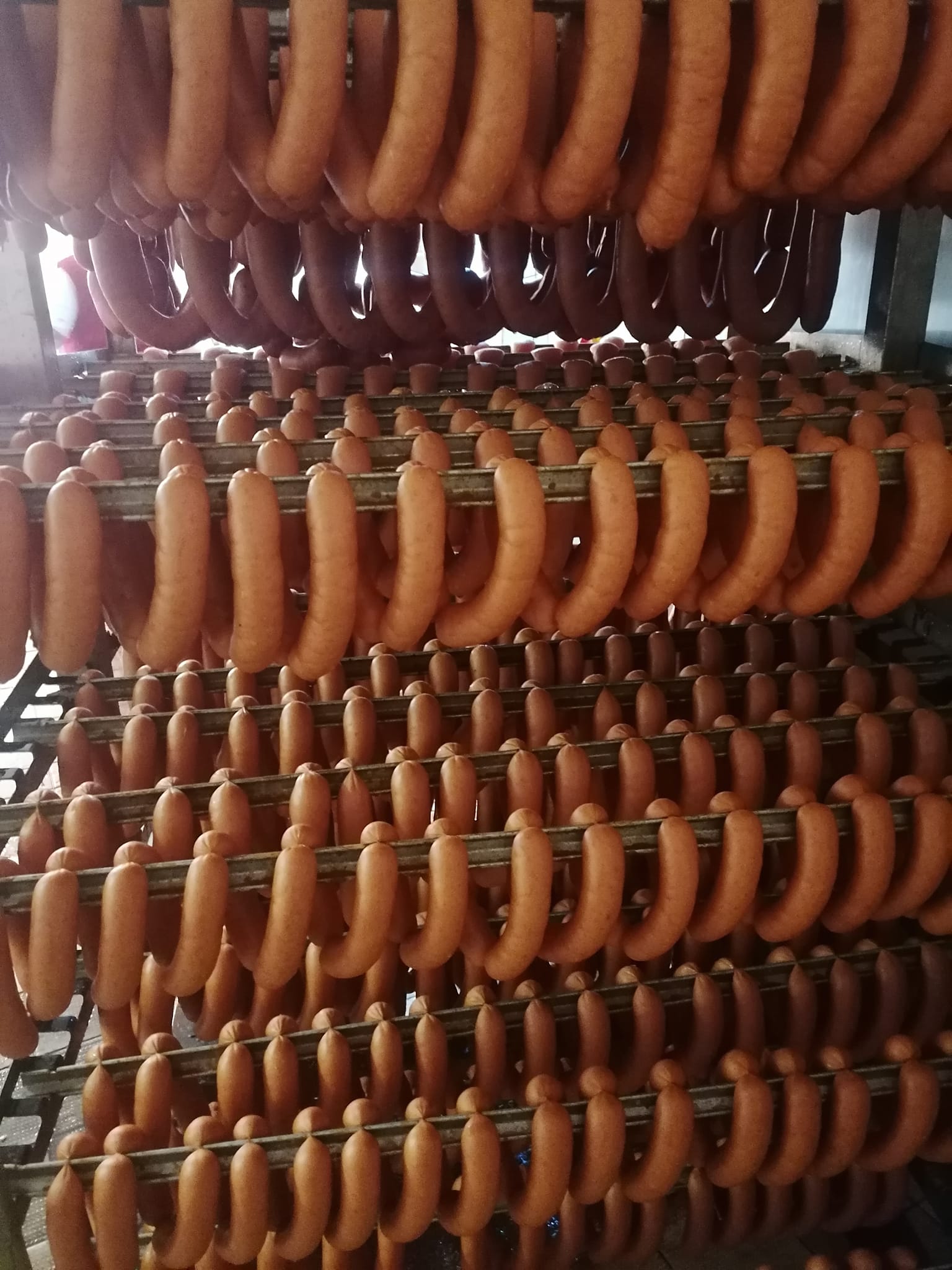 324658781_1820872701601616_6092202350994455368_n